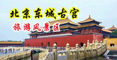 姑娘逼毛片中国北京-东城古宫旅游风景区
